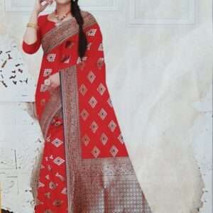 KATHPADAR PAITHANI BORDER SAREE WITH BLOUSE PIECE